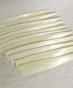 Bone Spear Tips--Packs of 12