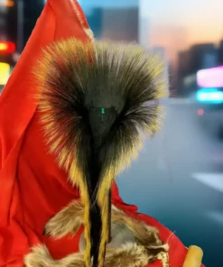 porcupine roach