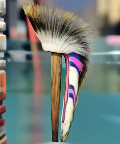 porcupine roach