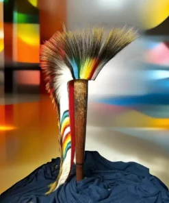 porcupine roach