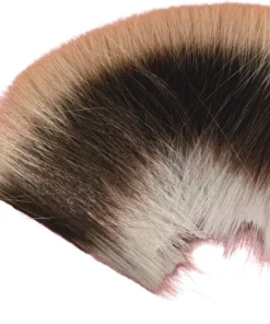 porcupine roach