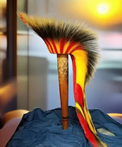 porcupine roach