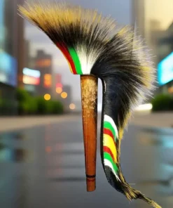 porcupine roach